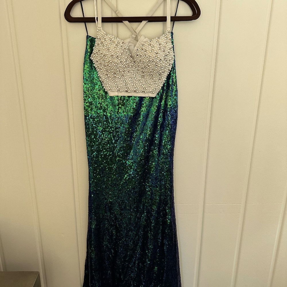 Windsor Mermaid Costume